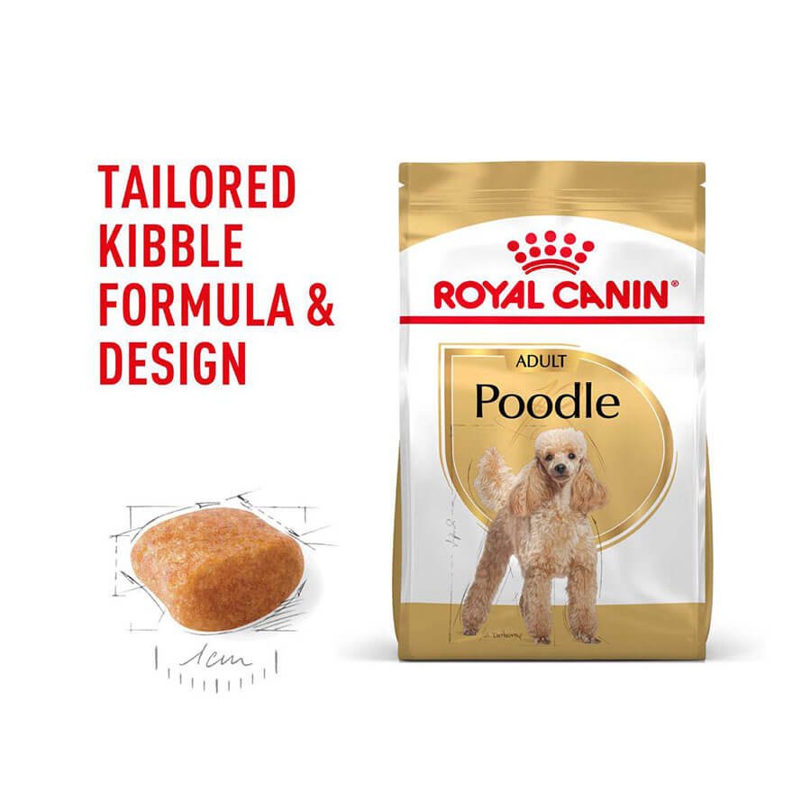 Royal Canin Poodle Adult | 3 Kg |Trockenfutter Für
