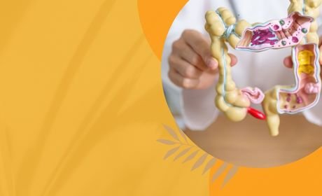 Digestive Health Solutions