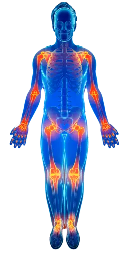 Turmeric's Anti Inflammatory Properties BYGA Wellness